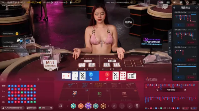 Db真人百家樂遊戲畫面