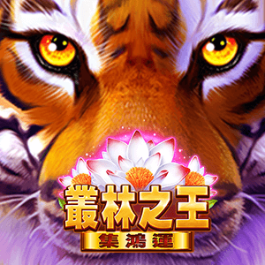 Bng叢林之王 - 集鴻運