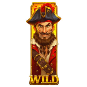 BNG 海盜祕寶 WILD