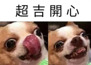 歐博註冊,歐博娛樂城,歐博百家樂,歐博真人,真人娛樂城