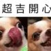 歐博註冊,歐博娛樂城,歐博百家樂,歐博真人,真人娛樂城